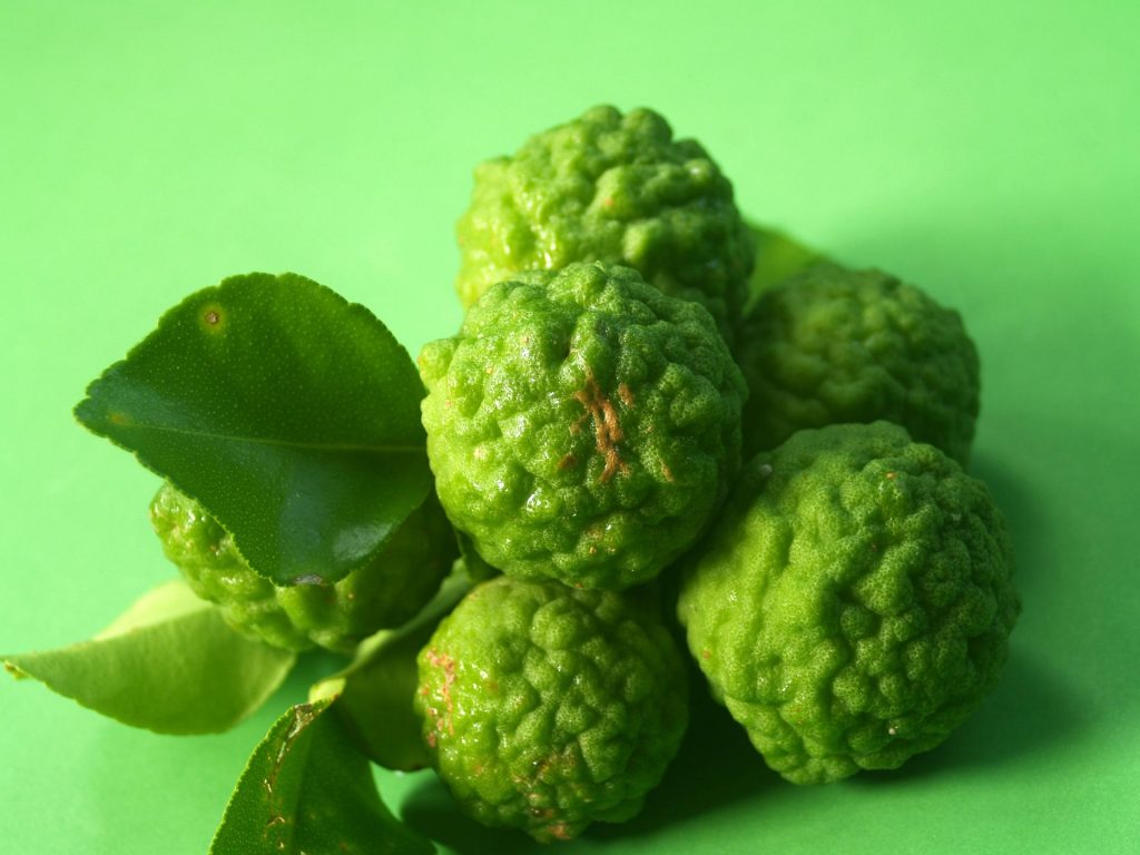 Feuilles de Lime Makrut : Utilisations, Bienfaits et Recettes Thaïlandaises 6 Lime Makrut Thaï
