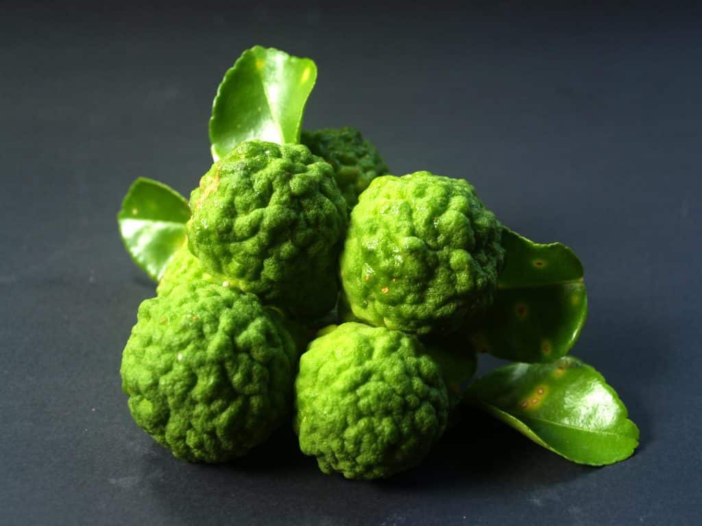 Feuilles de Lime Makrut : Utilisations, Bienfaits et Recettes Thaïlandaises 5 Lime Makrut Thaï