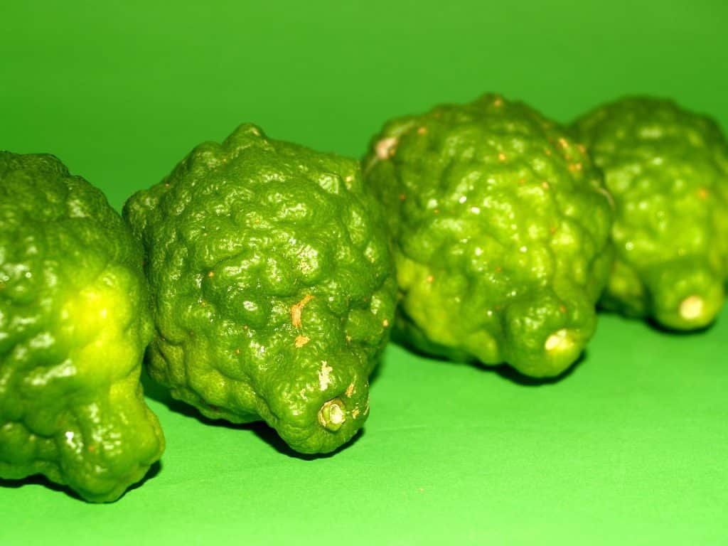 Feuilles de Lime Makrut : Utilisations, Bienfaits et Recettes Thaïlandaises 4 Lime Makrut Thaï