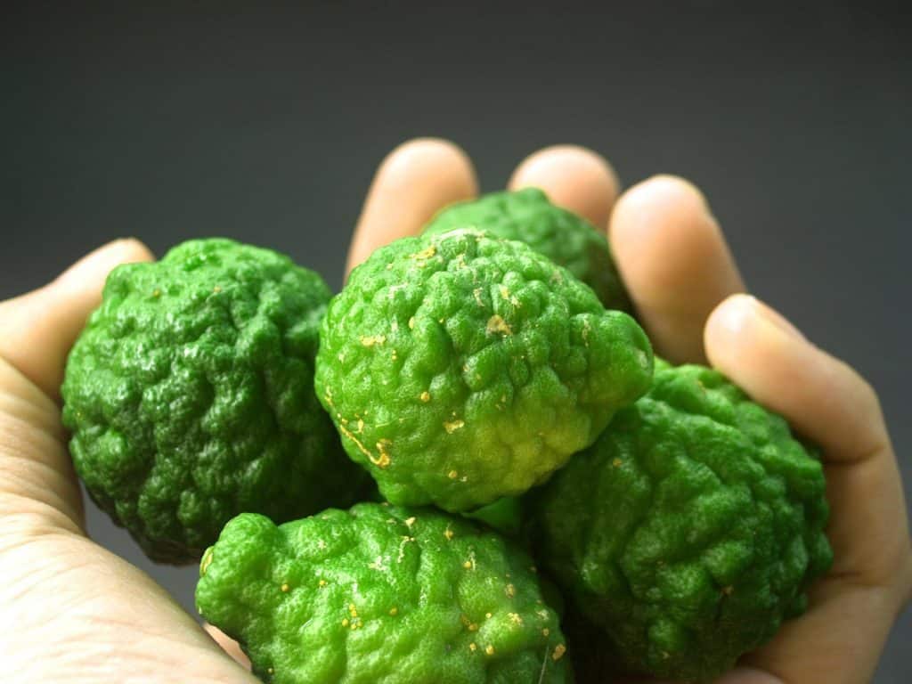 Feuilles de Lime Makrut : Utilisations, Bienfaits et Recettes Thaïlandaises 3 Lime Makrut Thaï