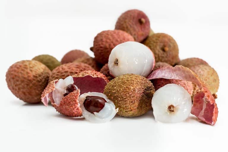 Notre Blog 6 litchi ou letchi
