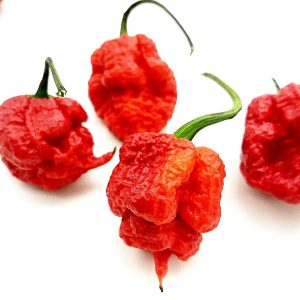 Piment 7 pot