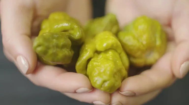PepperX