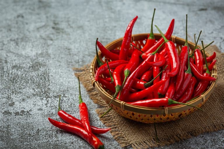 chilli pepper dark surface